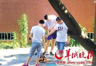 汕头记者爆料最新消息,揭秘汕头某重大事件背后真相