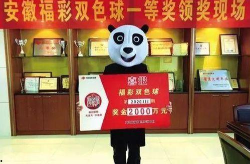 合肥刘先生最新爆料,揭秘背后惊人真相！