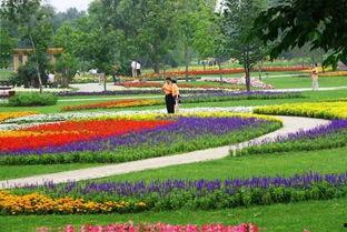 长春百花园爆料最新消息,揭秘神秘事件背后的真相