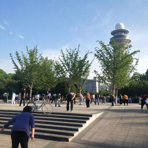 石家庄公园爆料视频最新,揭秘公园里的惊人秘密！